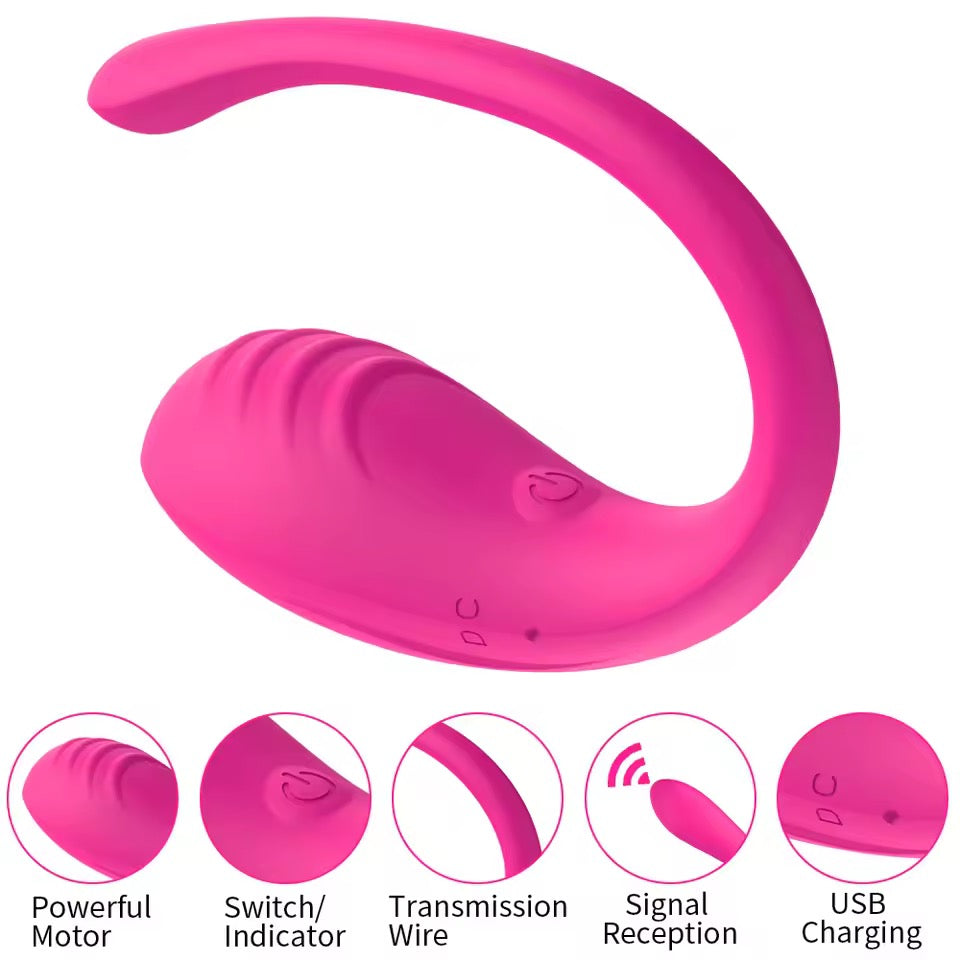 Love Spouse App Remote Control Vibrator – Wearable Vibrating Egg for Women